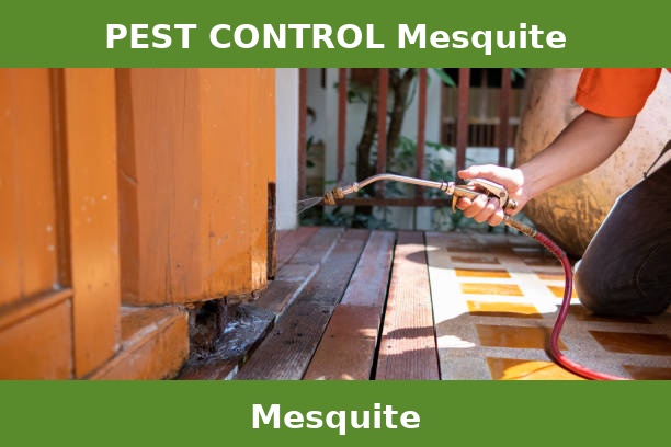 PEST CONTROL Mesquite